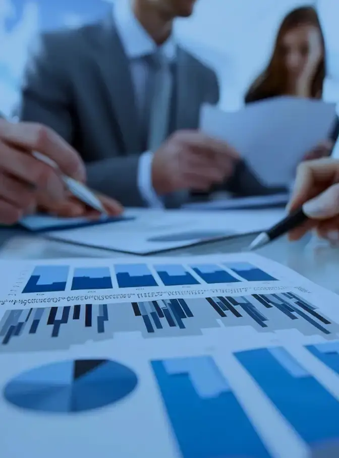 Business & Management Consulting